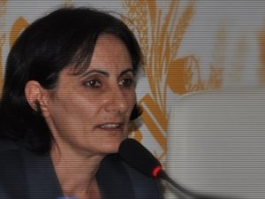 BDP'li Birtane, Kars'ın Sorunlarını Masaya Yatırdı