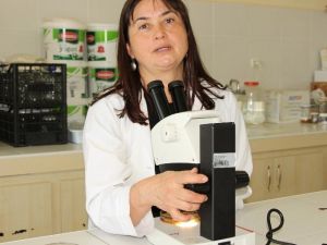 Astıma Neden Olan Toz Akarlarına Dikkat
