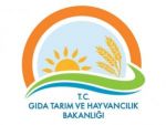 Kars'ta Hayvancılığı Geliştirme Çalışmaları