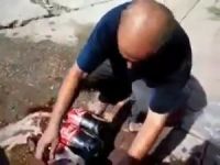 İsraili Boykot İçin Kolaları Yola Döktü