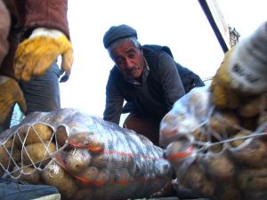 Kars’ta Bostancıların Mahsül Sökümleri Başladı