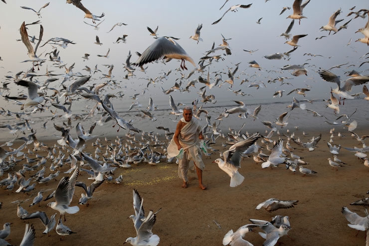 Reuters Objektifinden Yılın Fotoğrafları 35