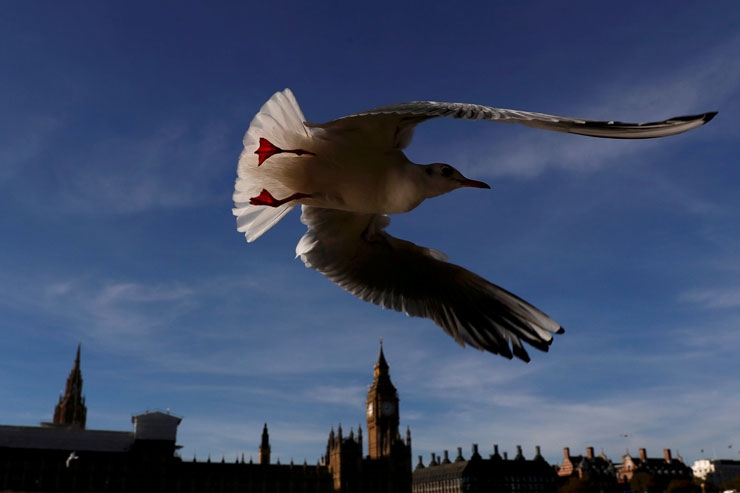 Reuters Objektifinden Yılın Fotoğrafları 60