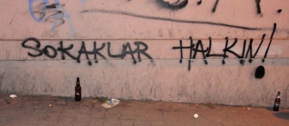 Gezi Parkı Direnişi Duvarlara da Yansıdı 5