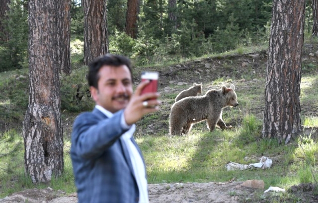 'Boz Ayı'larla Selfie Çektiler 11