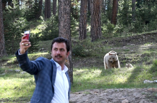 'Boz Ayı'larla Selfie Çektiler 12