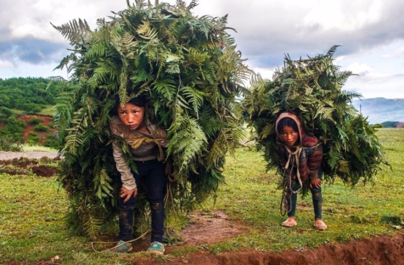 2017'nin En İyi Fotoğrafları 9