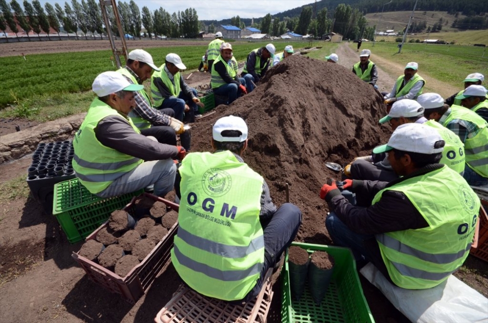Bölgenin 'Fidan'ları Sarıkamış'tan 14