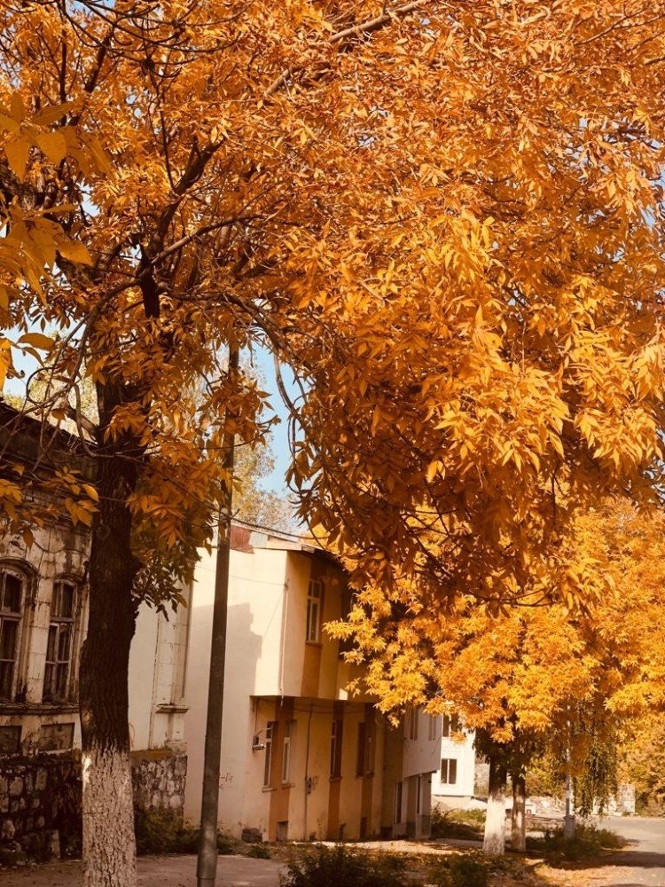 Kars'ta Sonbahar 6