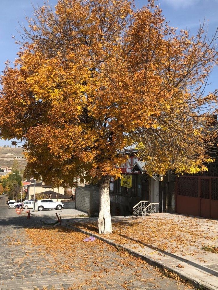 Kars'ta Sonbahar 7