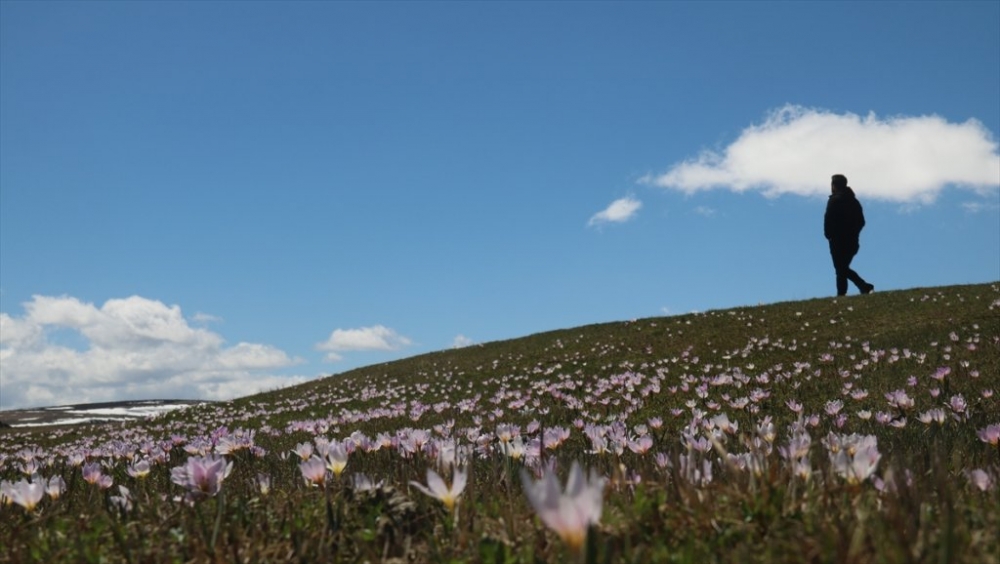 Kars'ta 'Bahar' 10