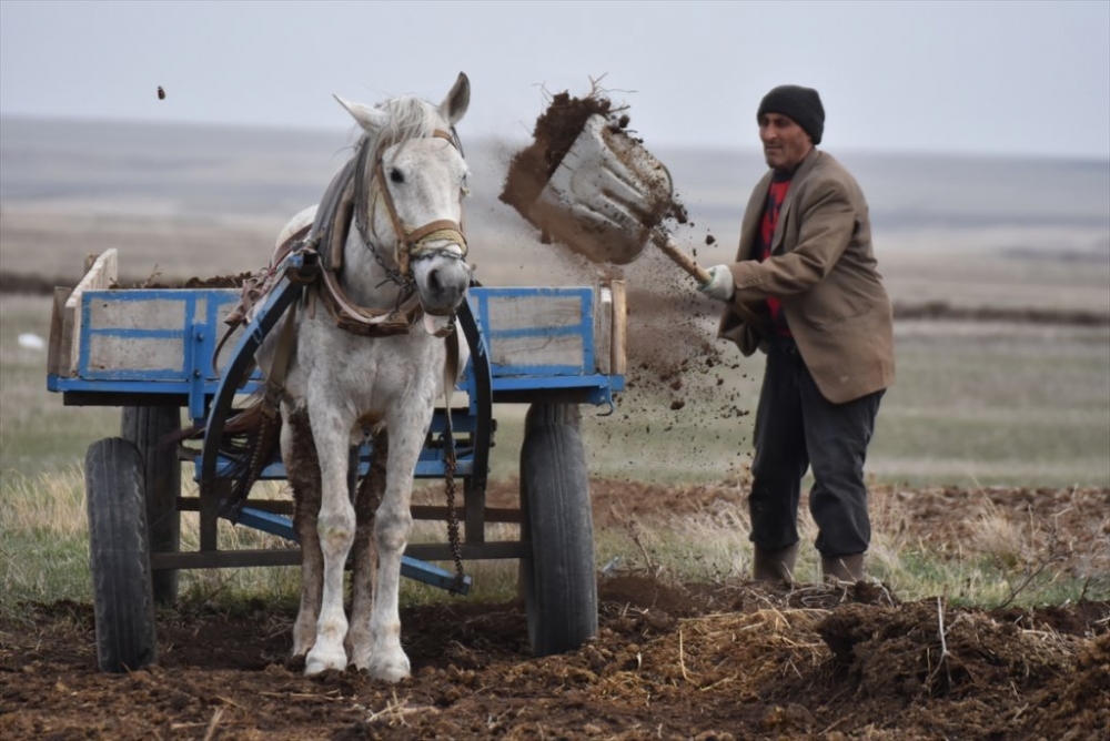 Kars'ta 'Bahar' 14