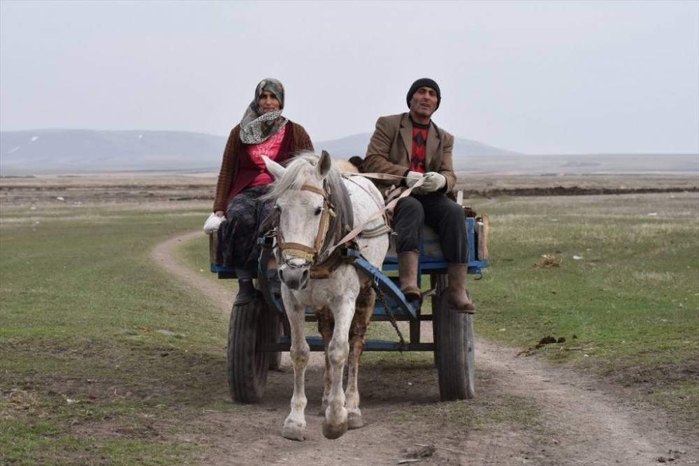 Kars'ta 'Bahar' 16
