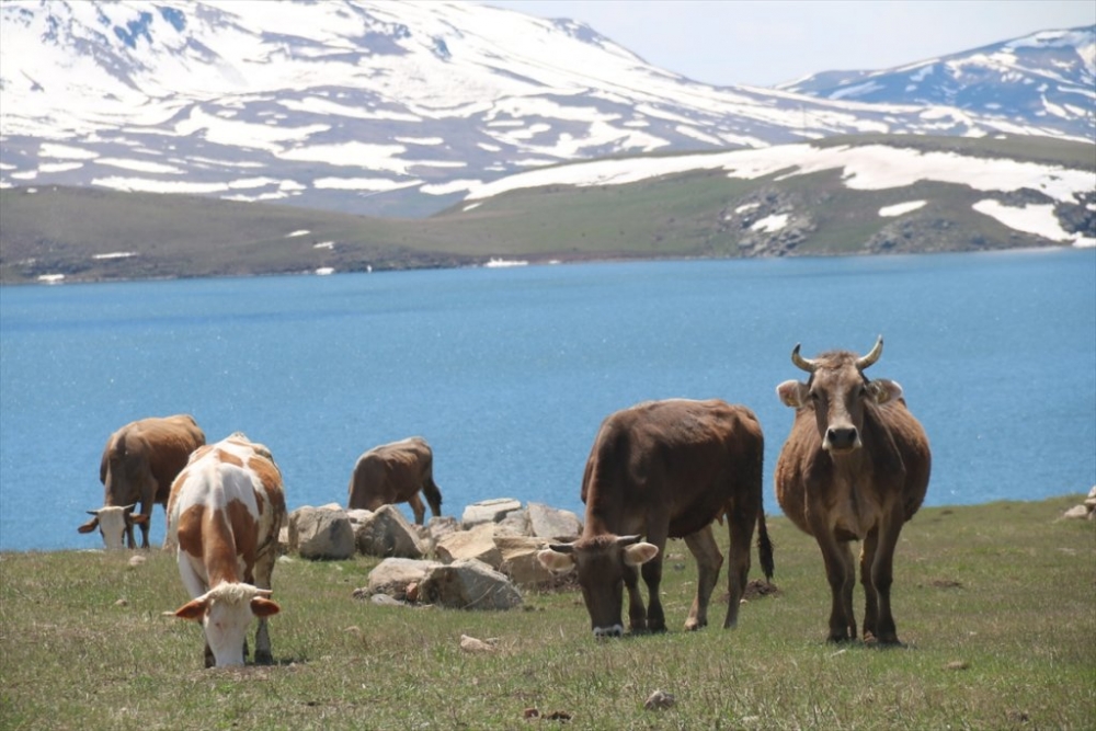 Kars'ta 'Bahar' 5