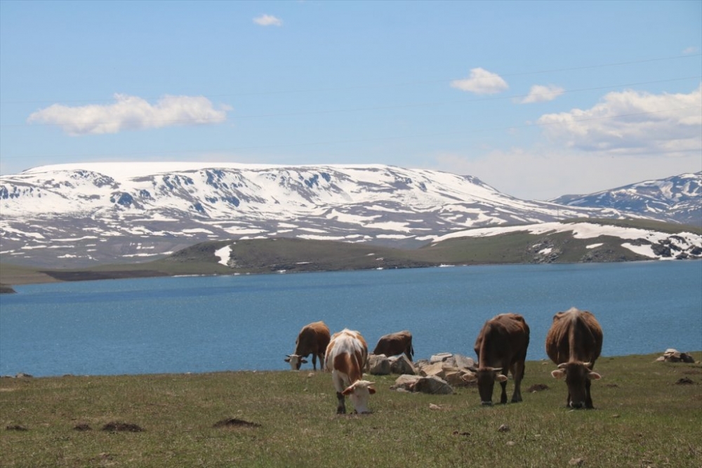 Kars'ta 'Bahar' 6