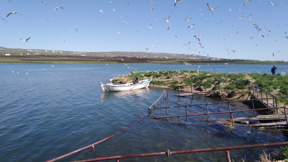 Çıldır'da 'Av Yasağı' 10