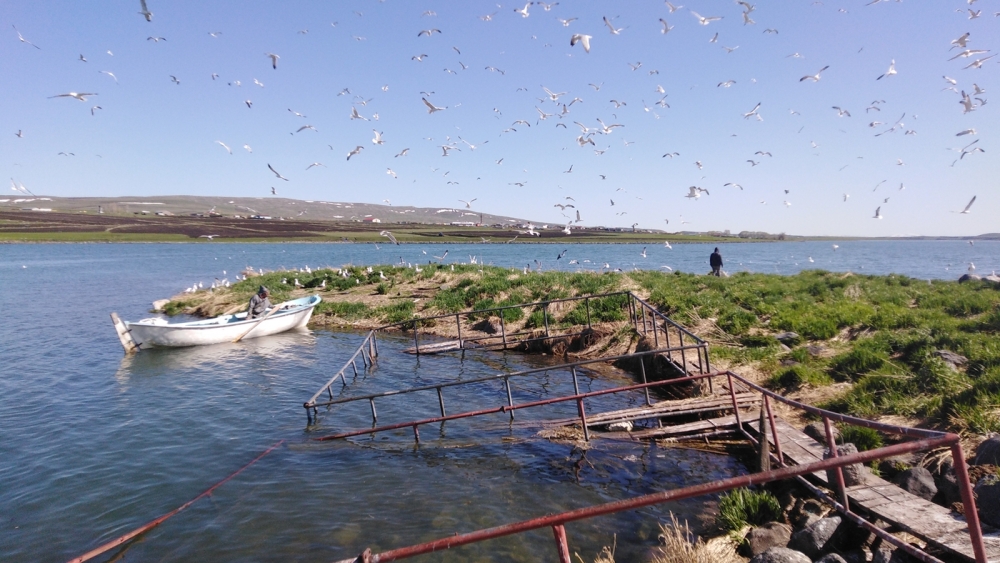 Çıldır'da 'Av Yasağı' 11