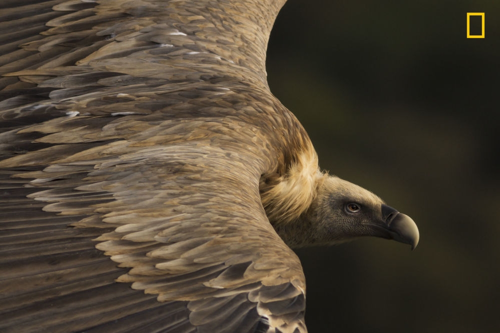 National Geographic Seyahat Fotoğrafı Yarışması 6