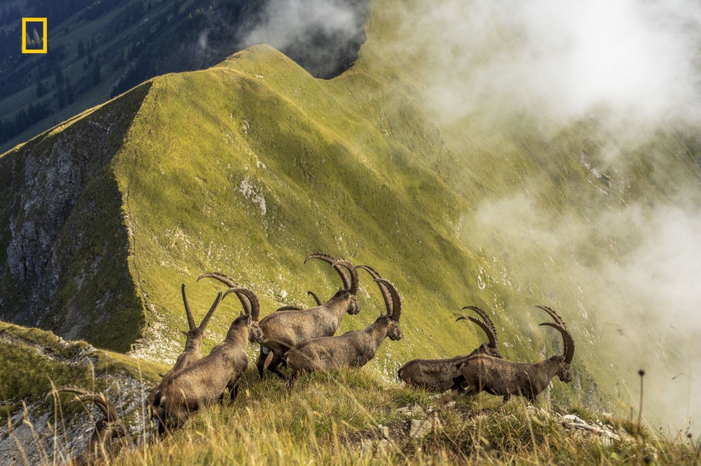 National Geographic Seyahat Fotoğrafı Yarışması 9