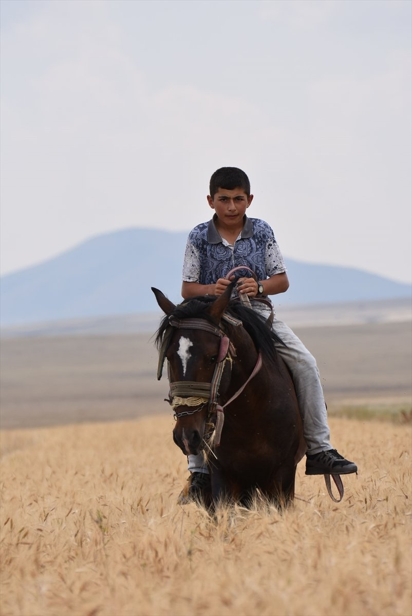 Kars'ta Hasat Mevsimi 13