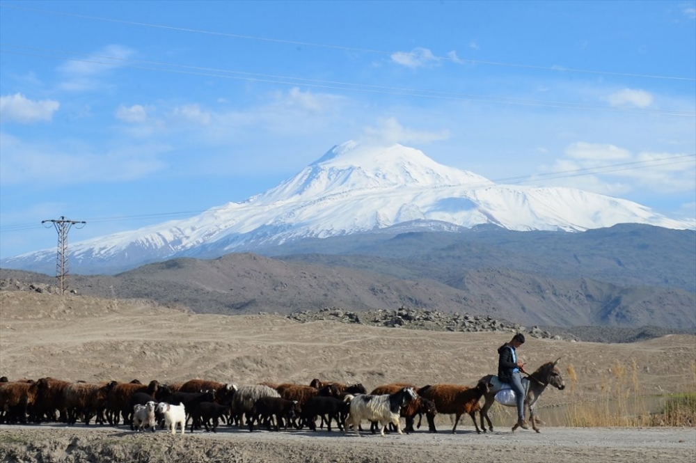 Ağrı Dağı'nda İlkbahar 7