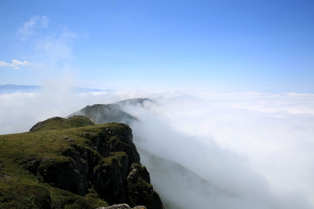 Karadeniz'de 'Yayla Göçü' Erken Başladı 10