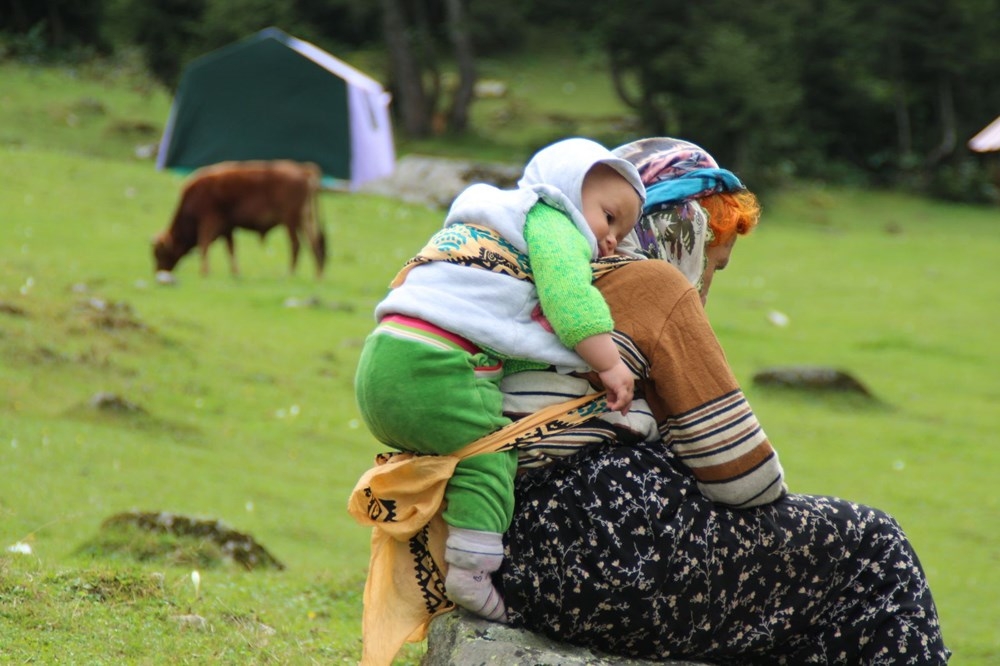 Karadeniz'de 'Yayla Göçü' Erken Başladı 7