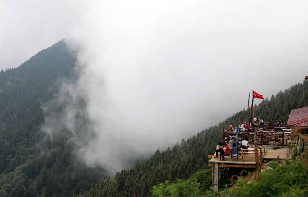 Karadeniz'de 'Yayla Göçü' Erken Başladı 8