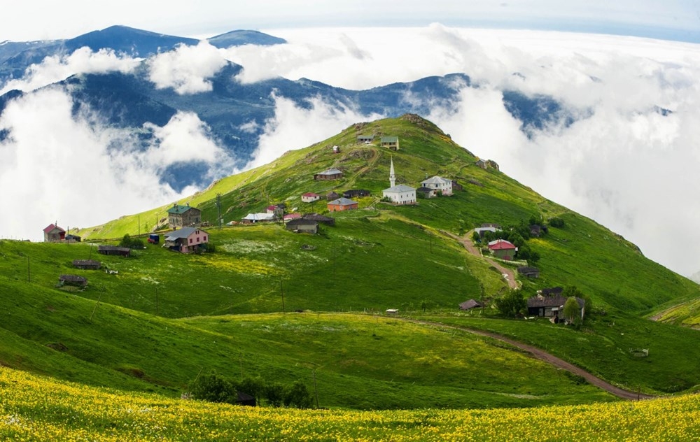 Karadeniz'de 'Yayla Göçü' Erken Başladı 9