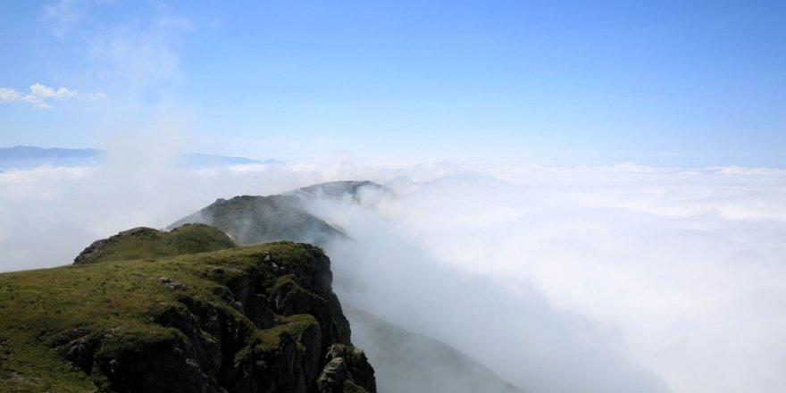 Karadeniz'de 'Yayla Göçü' Erken Başladı