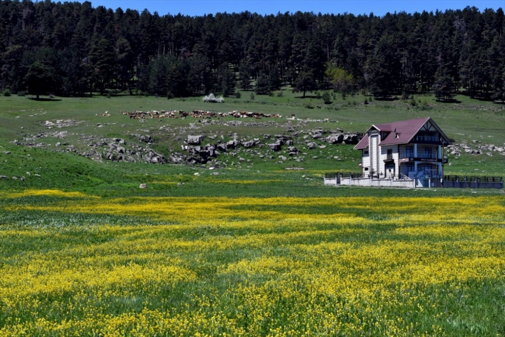 Kars'ta 'Bahar' Başka Güzel 22