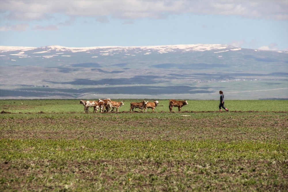 Kars'ta 'Bahar' Başka Güzel 8