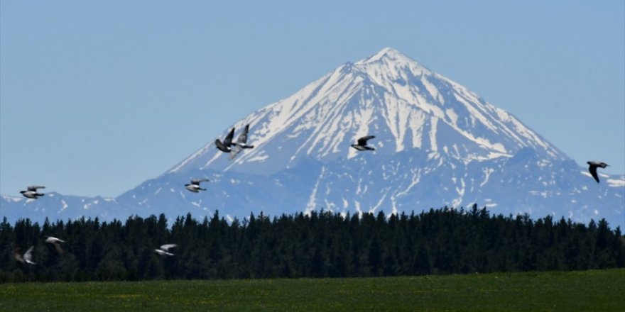 Kars'ta 'Bahar' Başka Güzel