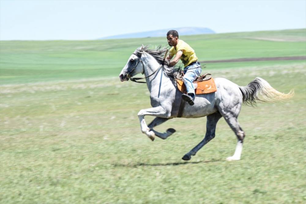 'Cirit' Heyecanı Yeniden Başladı 15