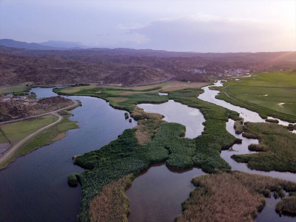 Ağrı Dağı Milli Parkı ve Yaban Hayatı 21