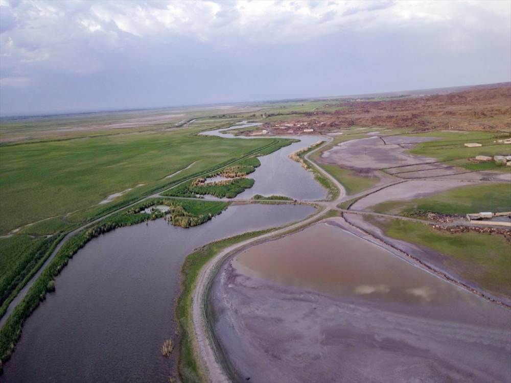 Ağrı Dağı Milli Parkı ve Yaban Hayatı 3