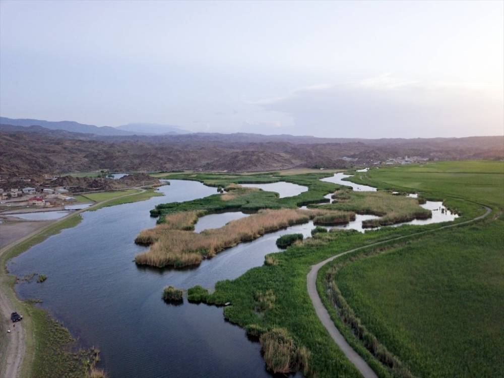 Ağrı Dağı Milli Parkı ve Yaban Hayatı 4