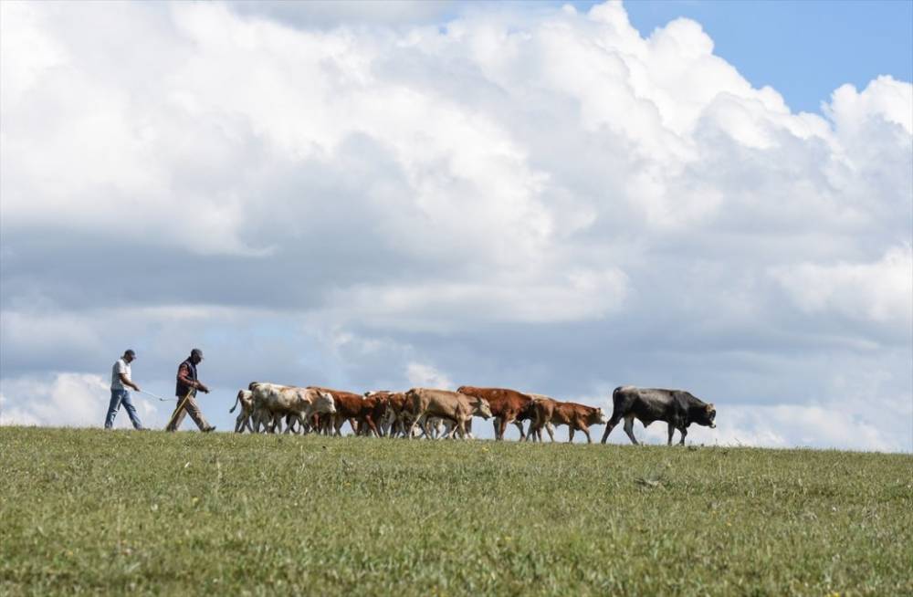 Kars | Yayla Zamanı 3