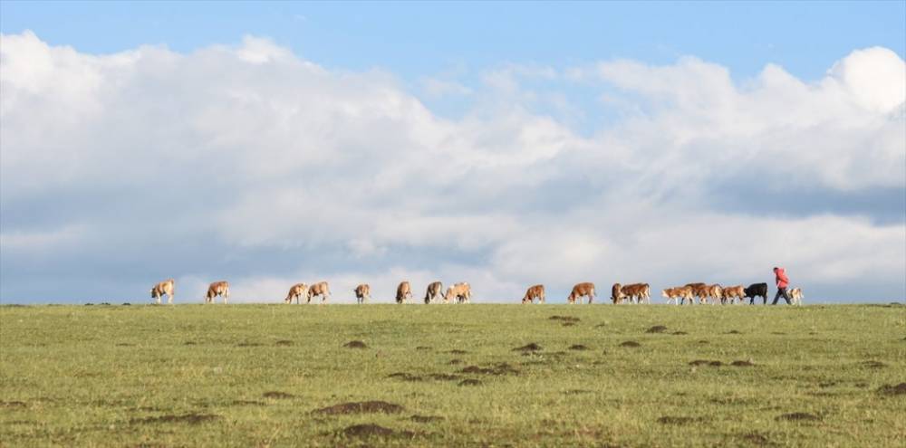 Kars | Yayla Zamanı 4