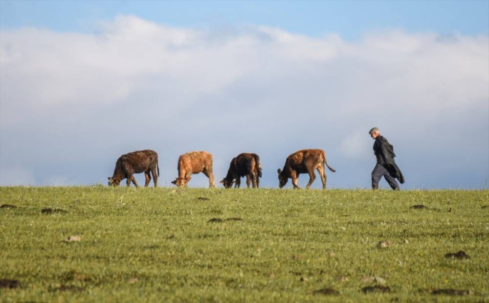 Kars | Yayla Zamanı 8
