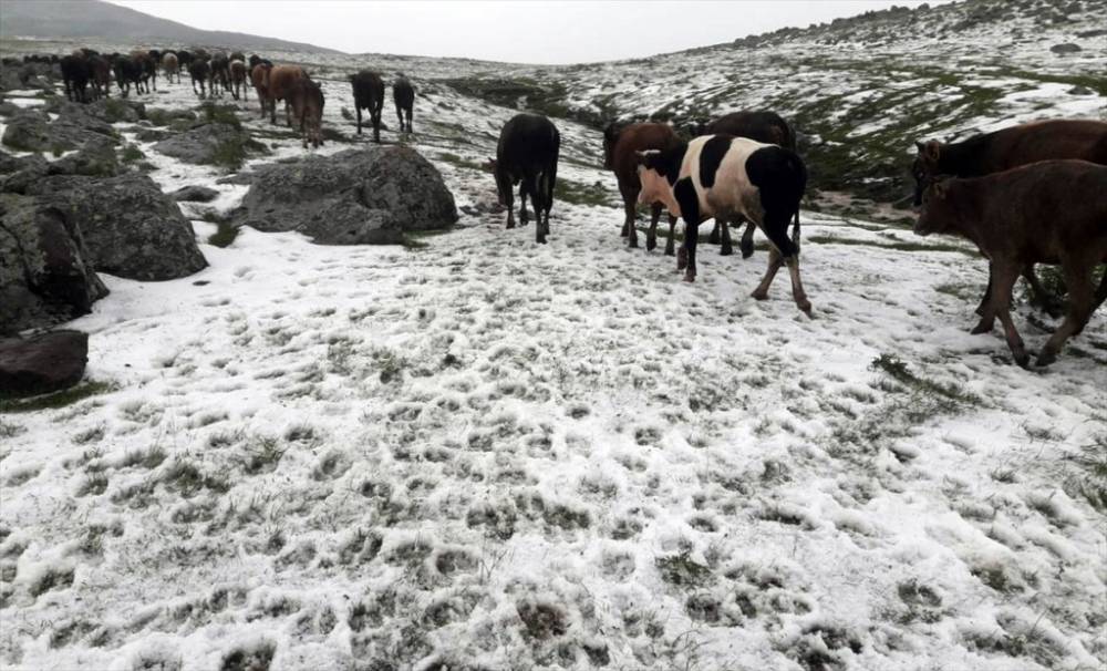 Kars | Sağanak Yağış, Dolu ve Sel Felaketi 37