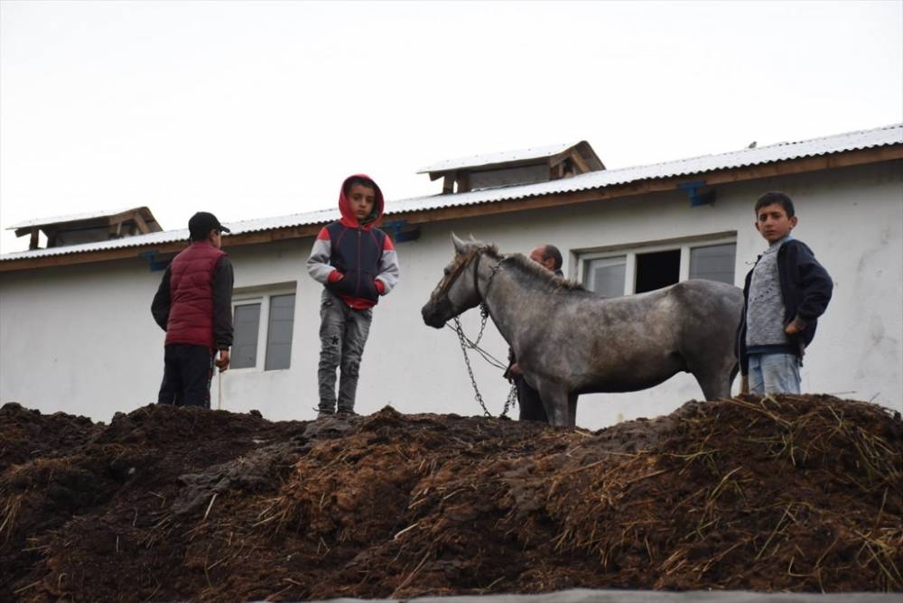 Kars | Sağanak Yağış, Dolu ve Sel Felaketi 6