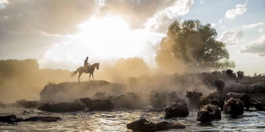 'Erciyes Etekleri'nde Kartpostallık Görüntüler