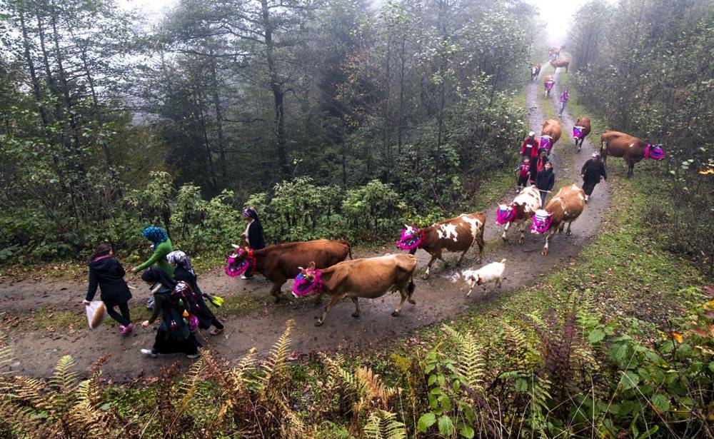 Karadeniz’de Yaylacıların, Renkli Yolculuğu 1