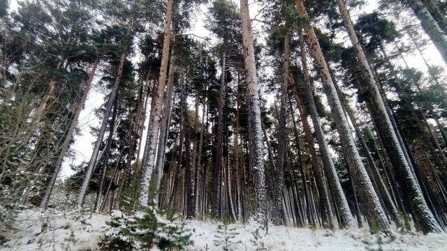 Birçok Yerde 'Kar ve Soğuk Hava' Etkili Oluyor 57