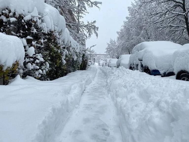 Almanya’da Kar Esareti 7