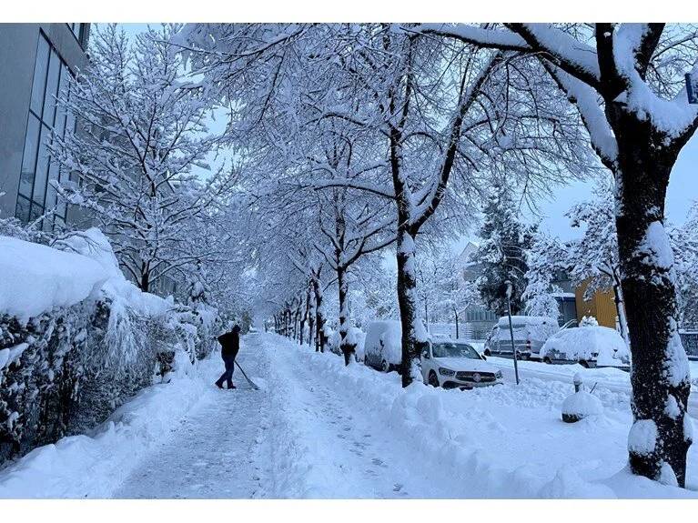 Almanya’da Kar Esareti 9