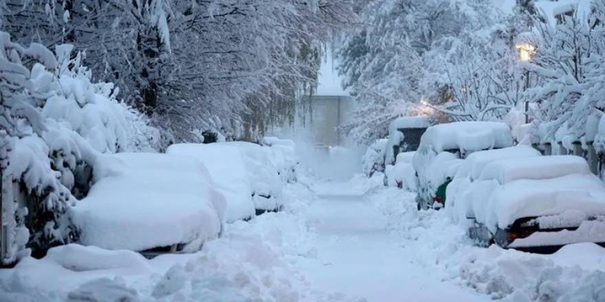 Almanya’da Kar Esareti