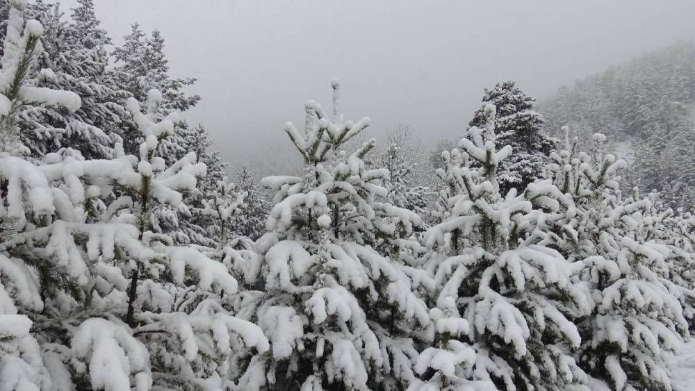Kars'ta Kar Yağışı Etkili Oluyor 1