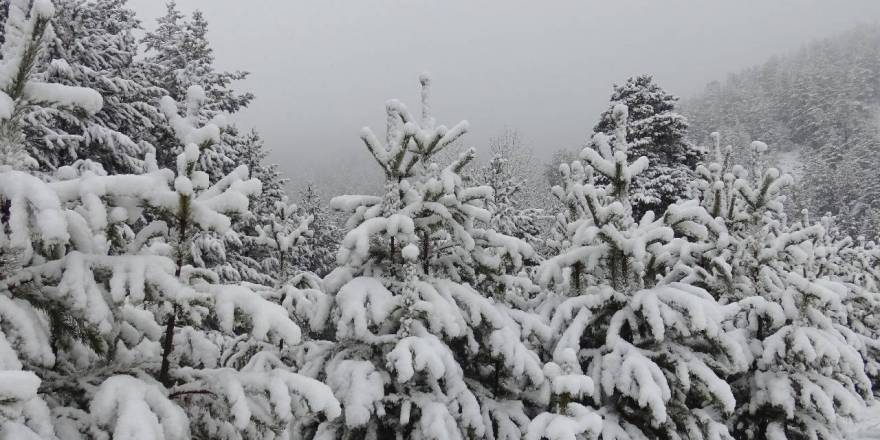 Kars'ta Kar Yağışı Etkili Oluyor